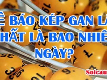 Đề báo kép gan lâu nhất là bao nhiêu ngày